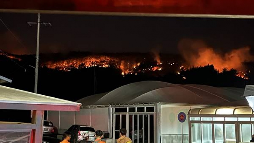 Thảm họa cháy rừng Hàn Quốc khiến hơn 3.000 ha bị thiêu rụi